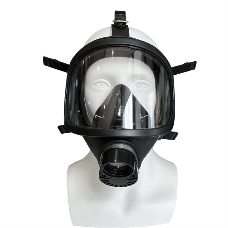 Chemical Protective Gas Mask With Double Filters