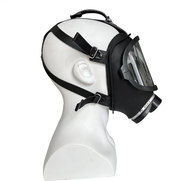 Chemical Protective Gas Mask With Double Filters