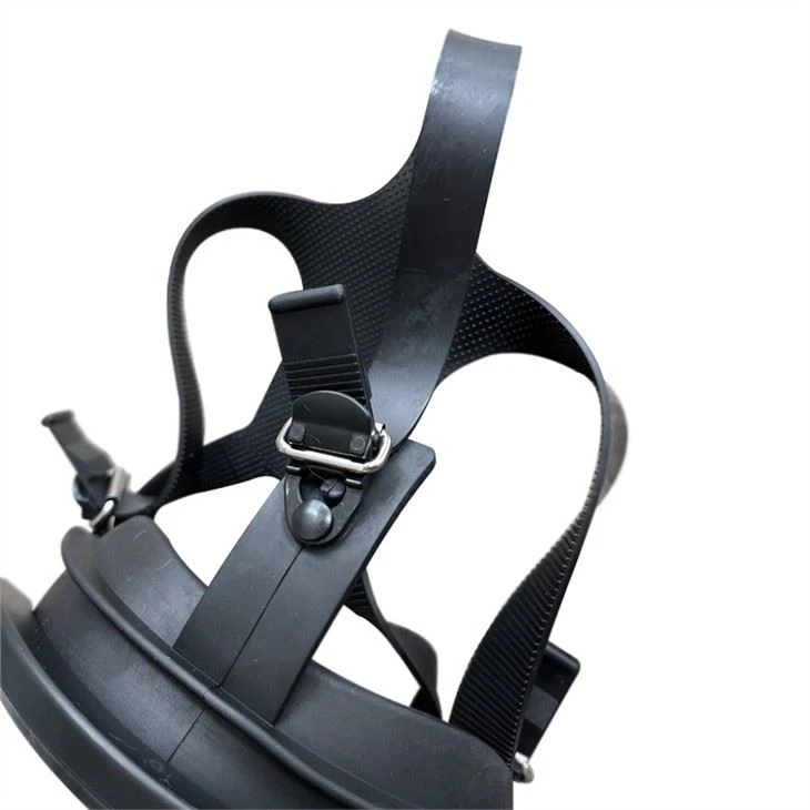 Chemical Protective Gas Mask With Double Filters